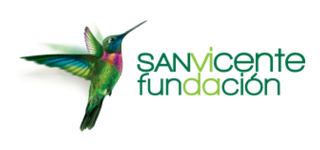 Logo de Sanvicente fundacion